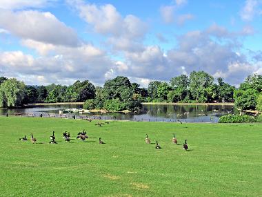 Saltwell Park