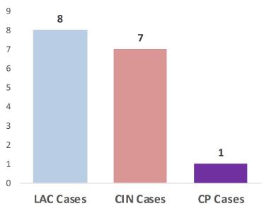 A graph showing Looked After Child (LAC), Children in Need (CIN) and Child Protection (CP) cases in the Youth Justice system