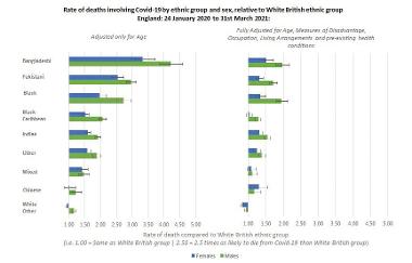 Ethnicity deaths 2 copy