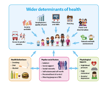 Wider determinants of health