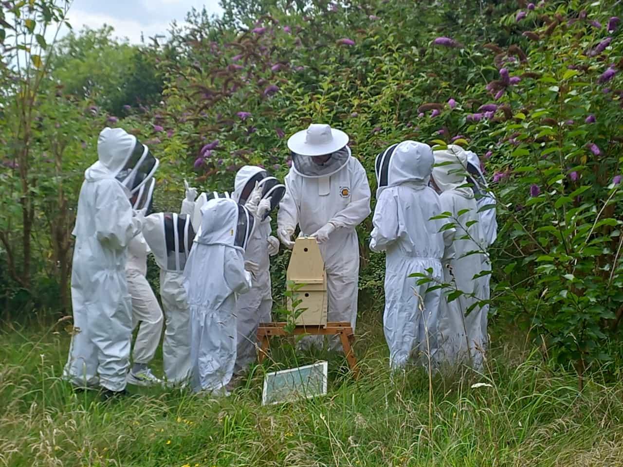 Beekeeping