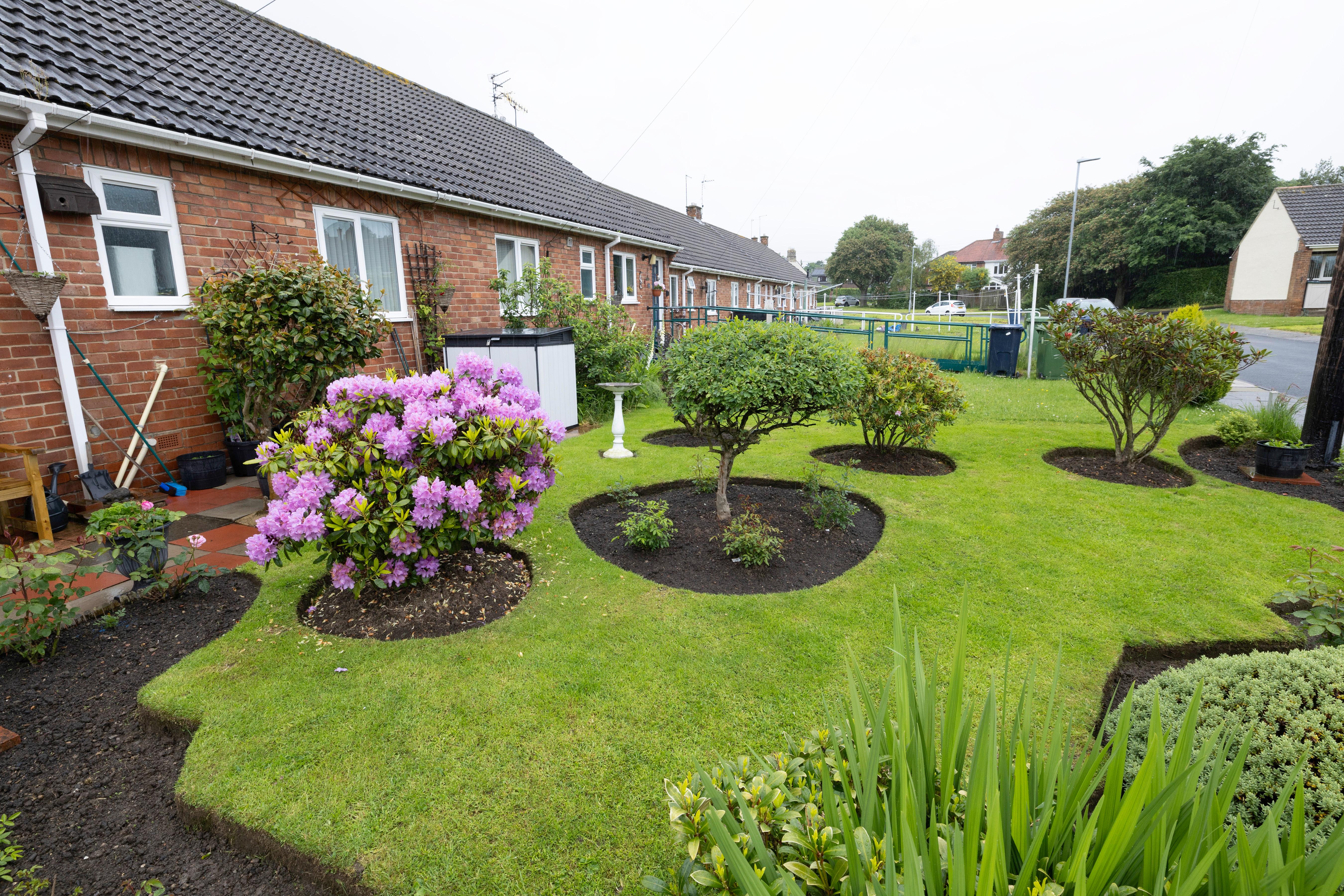 Greenfields communal garden