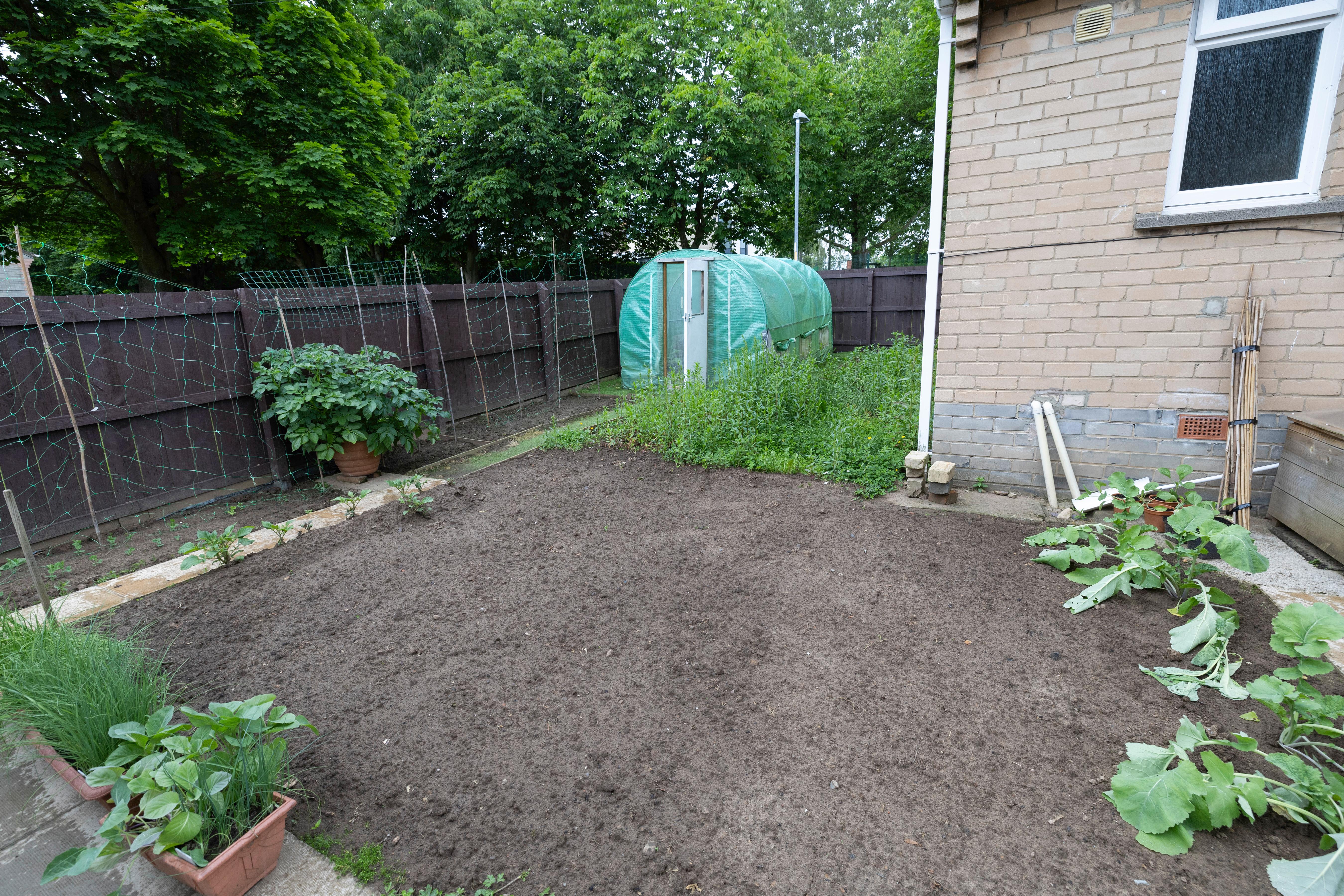 Southwood Crescent communal garden