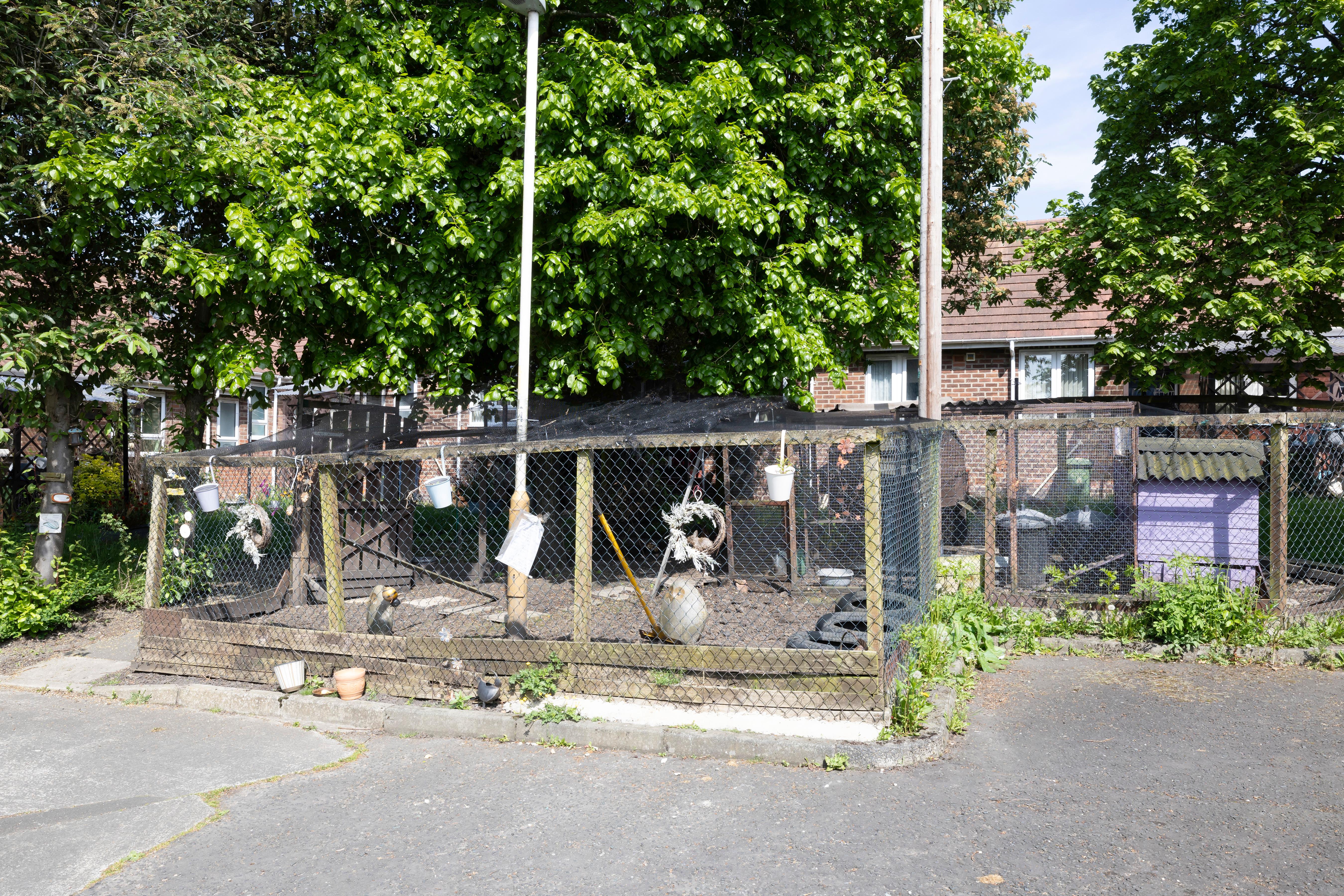 Wood Green communal garden