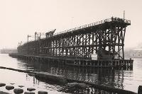 Image representing Dunston: Staiths, Steamers and Teemers