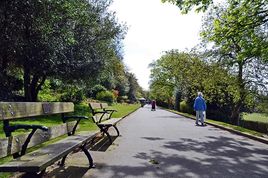 SALTWELL PARK WALKING